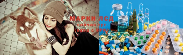 ПСИЛОЦИБИНОВЫЕ ГРИБЫ Беломорск