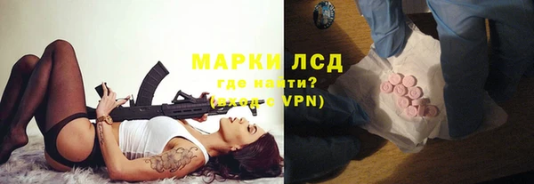 гидра Белокуриха