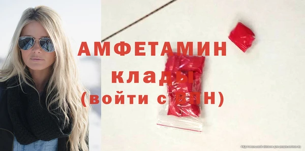 гидра Белокуриха