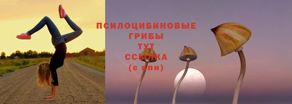 гашиш Богданович