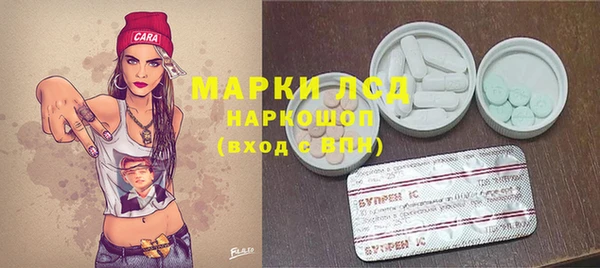 гашиш Богданович