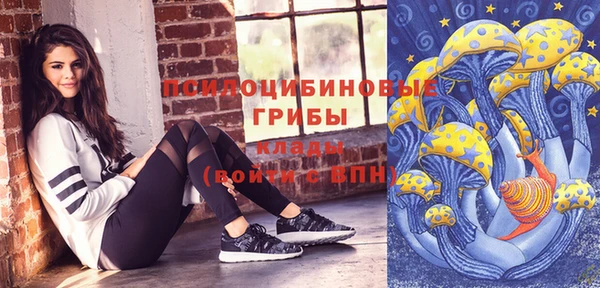 ПСИЛОЦИБИНОВЫЕ ГРИБЫ Беломорск